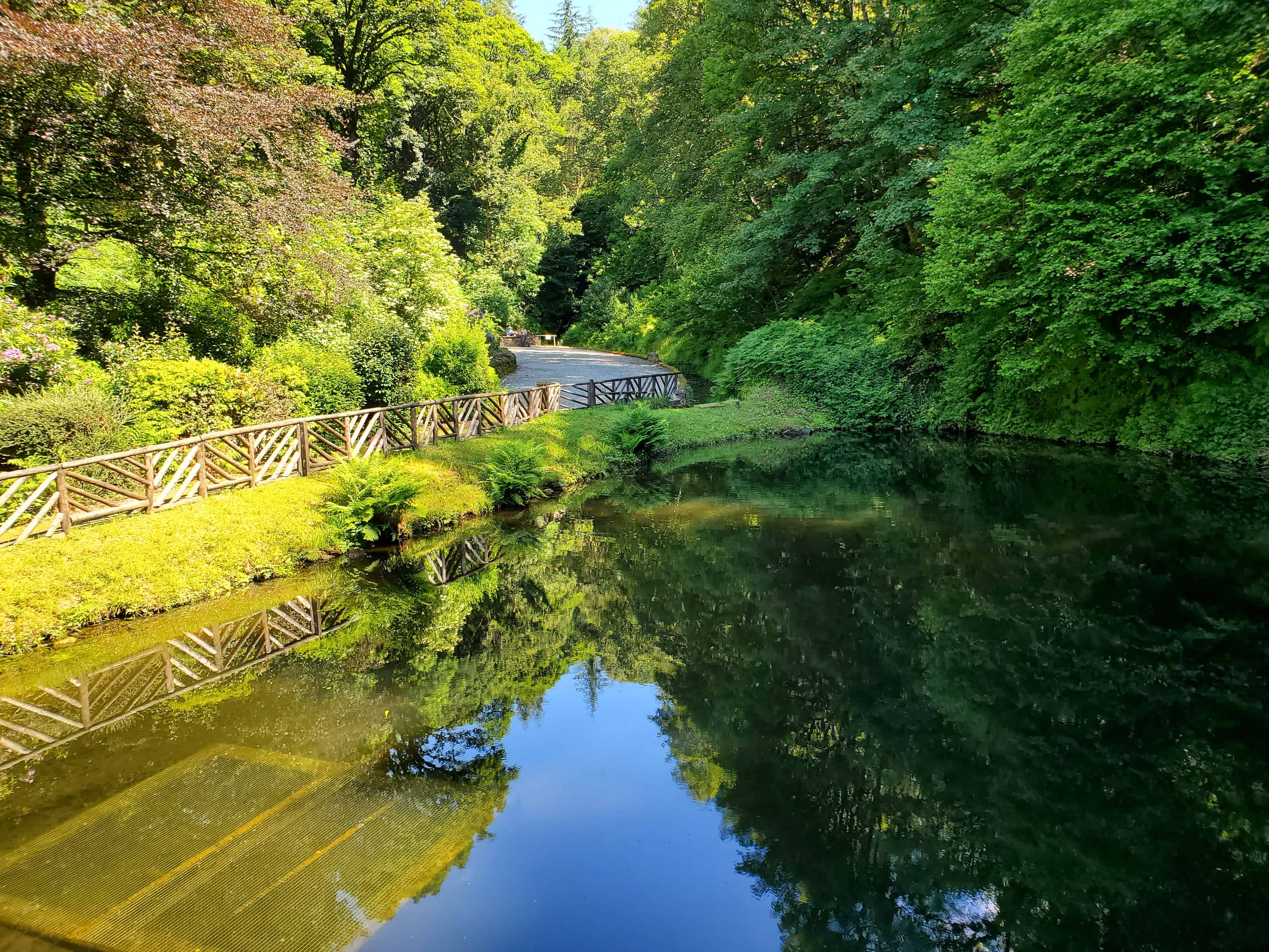 Glengoyne pond