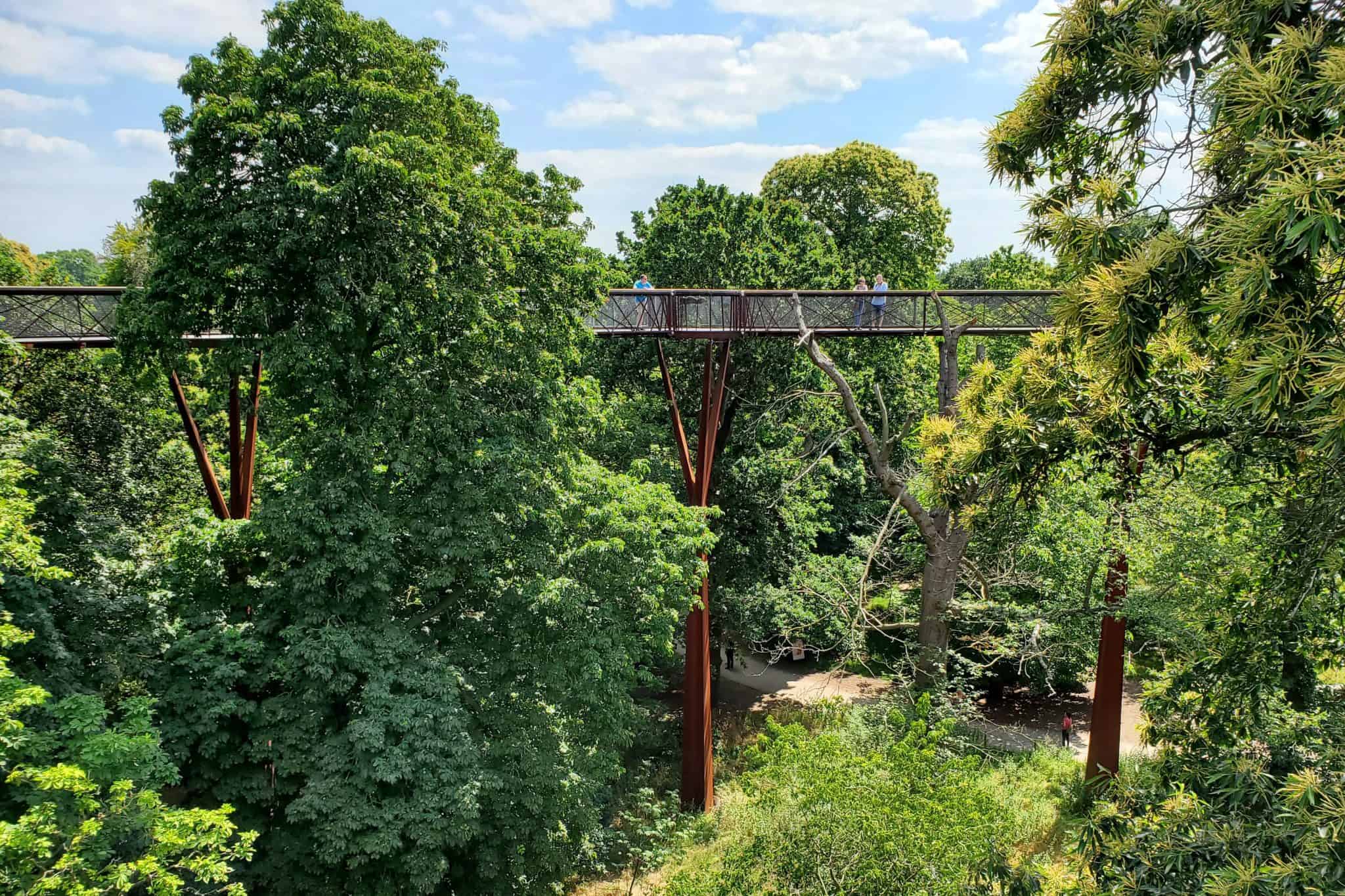 Kew Treetop Walkway